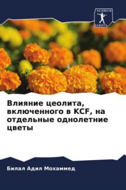 Влияние цеолита, включенного в Kcf, на отдельн