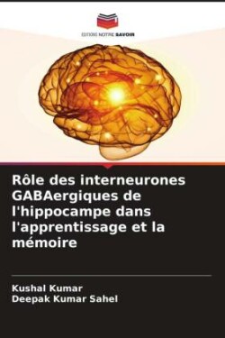Rôle des interneurones GABAergiques de l'hippocampe dans l'apprentissage et la mémoire