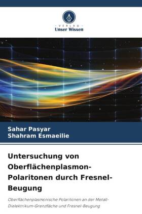 Untersuchung von Oberflächenplasmon-Polaritonen durch Fresnel-Beugung