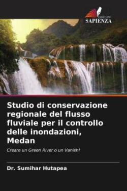 Studio di conservazione regionale del flusso fluviale per il controllo delle inondazioni, Medan