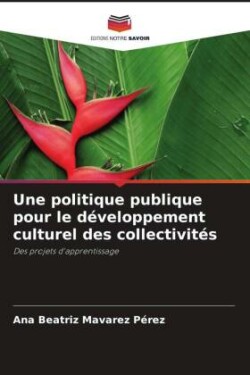 politique publique pour le développement culturel des collectivités