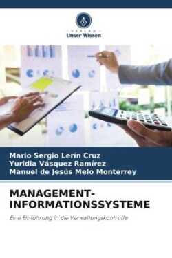 MANAGEMENT-INFORMATIONSSYSTEME