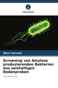 Screening von Amylase produzierenden Bakterien aus salzhaltigen Bodenproben