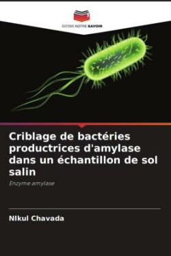 Criblage de bactéries productrices d'amylase dans un échantillon de sol salin