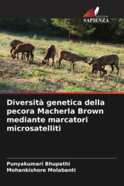 Diversità genetica della pecora Macherla Brown mediante marcatori microsatelliti