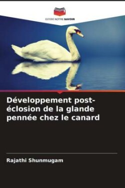 Développement post-éclosion de la glande pennée chez le canard