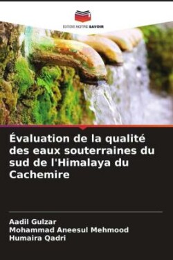 Évaluation de la qualité des eaux souterraines du sud de l'Himalaya du Cachemire