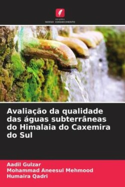 Avaliação da qualidade das águas subterrâneas do Himalaia do Caxemira do Sul