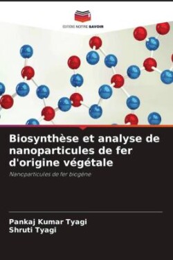 Biosynthèse et analyse de nanoparticules de fer d'origine végétale