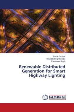 Renewable Distributed Generation for Smart Highway Lighting