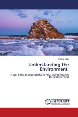 Understanding the Environment