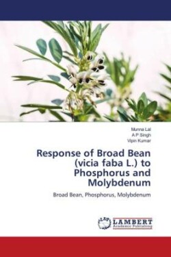 Response of Broad Bean (vicia faba L.) to Phosphorus and Molybdenum