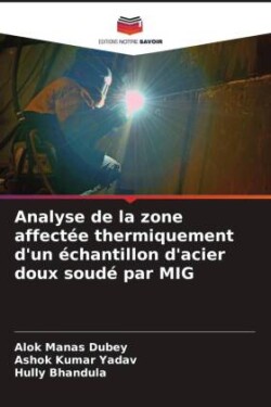 Analyse de la zone affectée thermiquement d'un échantillon d'acier doux soudé par MIG