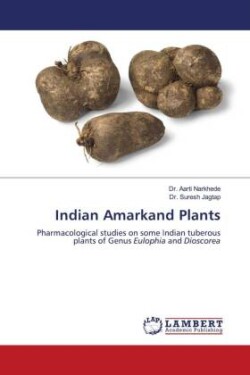 Indian Amarkand Plants