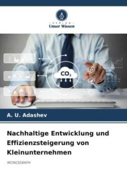 Nachhaltige Entwicklung und Effizienzsteigerung von Kleinunternehmen