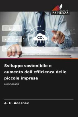 Sviluppo sostenibile e aumento dell'efficienza delle piccole imprese