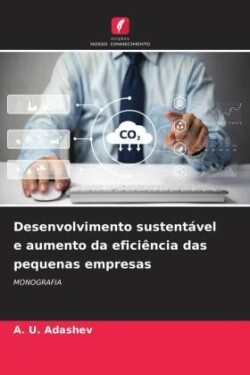 Desenvolvimento sustentável e aumento da eficiência das pequenas empresas