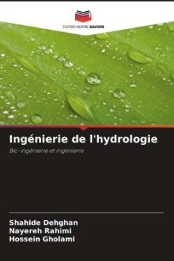 Ingénierie de l'hydrologie