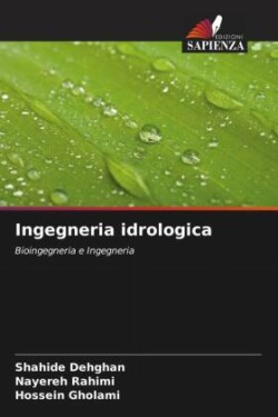 Ingegneria idrologica