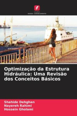 Optimização da Estrutura Hidráulica