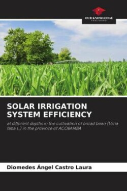 Solar Irrigation System Efficiency