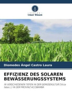 Effizienz Des Solaren Bewässerungssystems