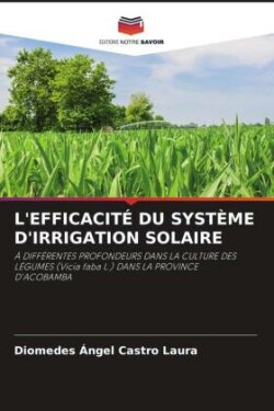 L'Efficacité Du Système d'Irrigation Solaire
