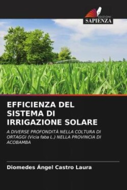 Efficienza del Sistema Di Irrigazione Solare