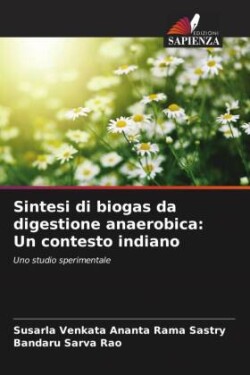 Sintesi di biogas da digestione anaerobica: Un contesto indiano