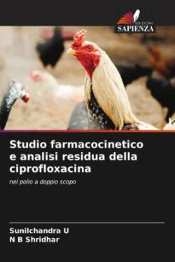 Studio farmacocinetico e analisi residua della ciprofloxacina