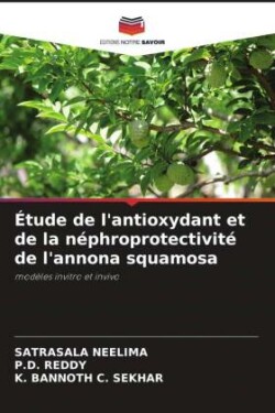 Étude de l'antioxydant et de la néphroprotectivité de l'annona squamosa