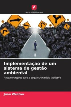 Implementação de um sistema de gestão ambiental