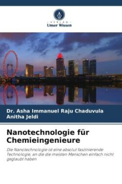 Nanotechnologie für Chemieingenieure