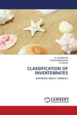 Classification of Invertebrates
