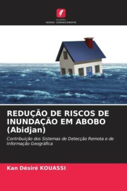 REDUÇÃO DE RISCOS DE INUNDAÇÃO EM ABOBO (Abidjan)