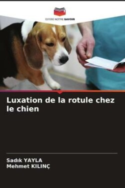 Luxation de la rotule chez le chien