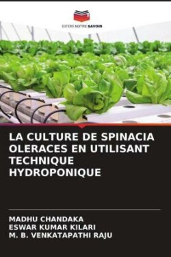 Culture de Spinacia Oleraces En Utilisant Technique Hydroponique