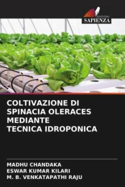 Coltivazione Di Spinacia Oleraces Mediante Tecnica Idroponica