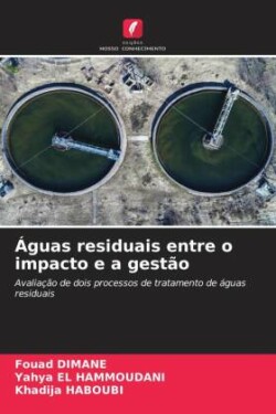 Águas residuais entre o impacto e a gestão