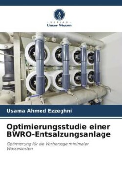 Optimierungsstudie einer BWRO-Entsalzungsanlage