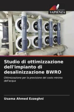 Studio di ottimizzazione dell'impianto di desalinizzazione BWRO