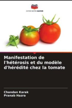 Manifestation de l'hétérosis et du modèle d'hérédité chez la tomate