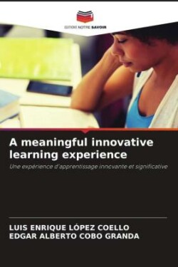 meaningful innovative learning experience