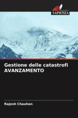 Gestione delle catastrofi AVANZAMENTO