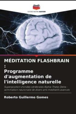 Méditation Flashbrain