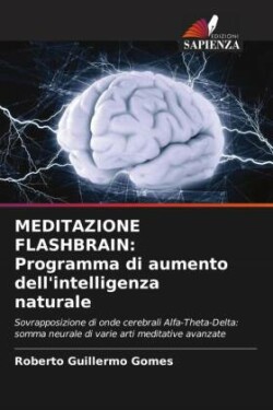 Meditazione Flashbrain