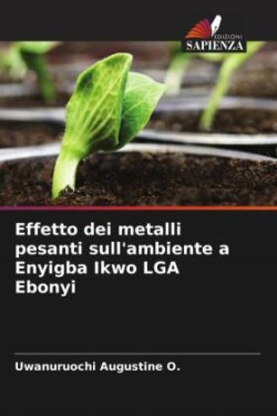 Effetto dei metalli pesanti sull'ambiente a Enyigba Ikwo LGA Ebonyi