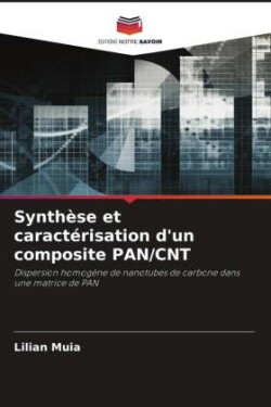 Synthèse et caractérisation d'un composite PAN/CNT