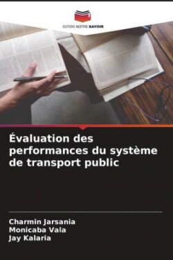 Évaluation des performances du système de transport public