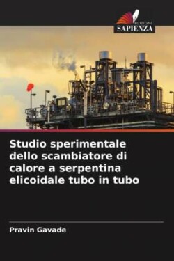 Studio sperimentale dello scambiatore di calore a serpentina elicoidale tubo in tubo